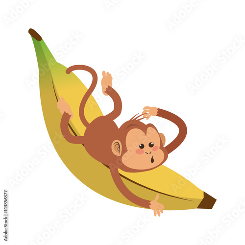 Monkey playing with a banana   cartoon icon over white background. colorful design. vector illustration