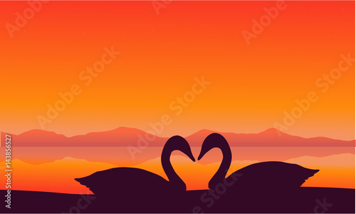 Silhouette of two swan at sunset scenery photo