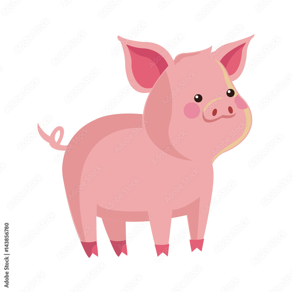 cute pig animal, cartoon icon over white background. colorful design. vector illustration