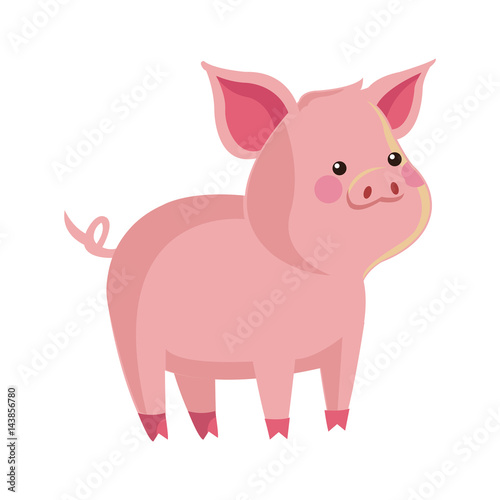 cute pig animal  cartoon icon over white background. colorful design. vector illustration