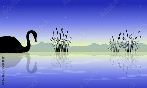 Silhouette of swan on lake style collection scenery photo