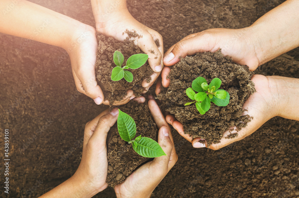 Growing concept eco Group hand children planting together on soil