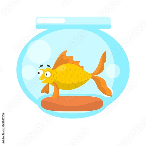 Golden fish in transparent aquarium isolated on white.