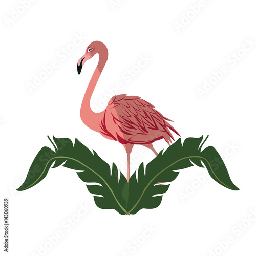 tropical leaves and pink flamingo bird icon over white background. colorful design. vector illustraiton