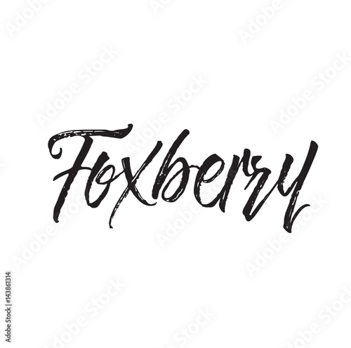 foxberry, text design. Vector calligraphy. Typography poster.