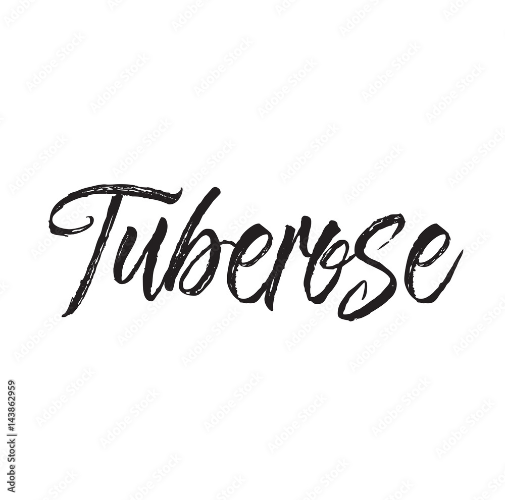 Fototapeta tuberose, text design. Vector calligraphy. Typography poster.