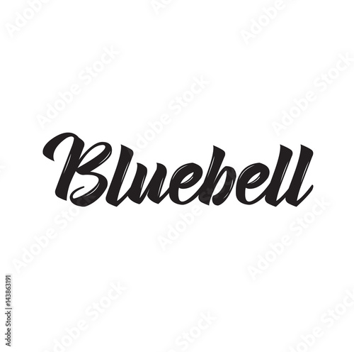 bluebell, text design. Vector calligraphy. Typography poster.