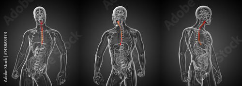 Foto 3d rendering illustration of the esophagus