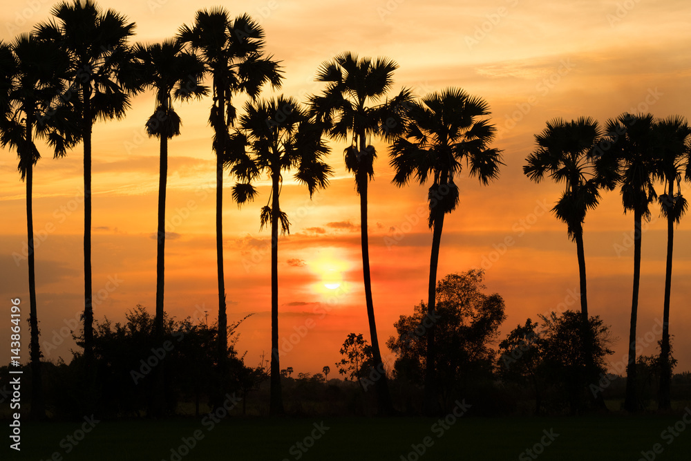 Obraz premium Sunset