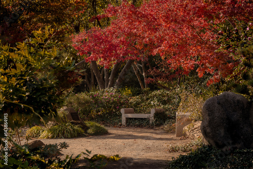 Fall Colors