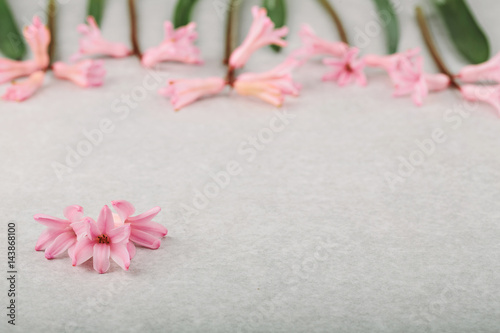 Floral composition frame made of hiacintus flowers photo