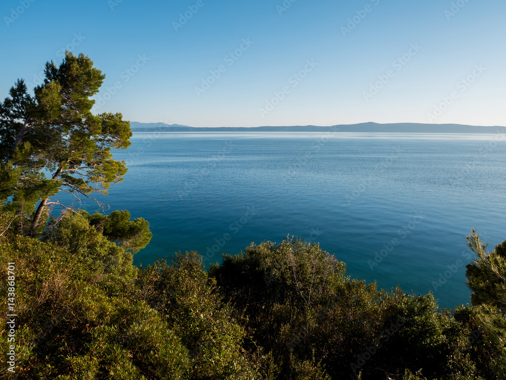 Mediterranean vegetation and calm blue sea