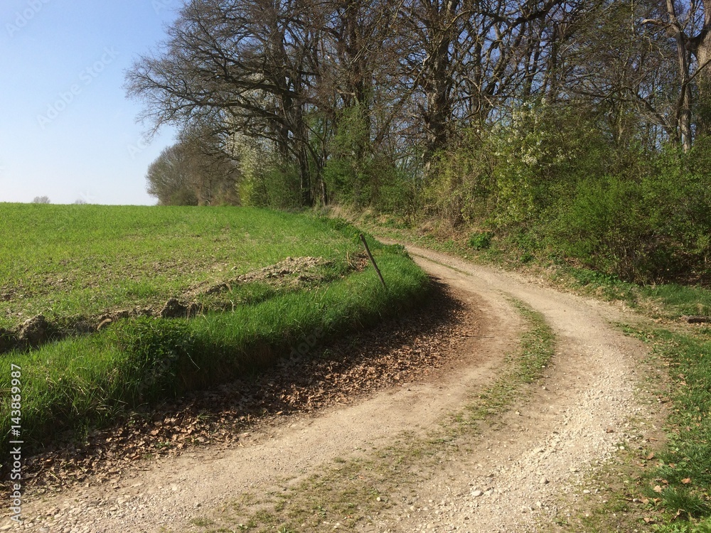 Weg mit Kurve entlang eines Waldes im Frühling Weg mit Kurve entlang eines Waldes im Frühling