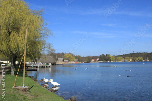 Frühling am Krakower See in Mecklenburg