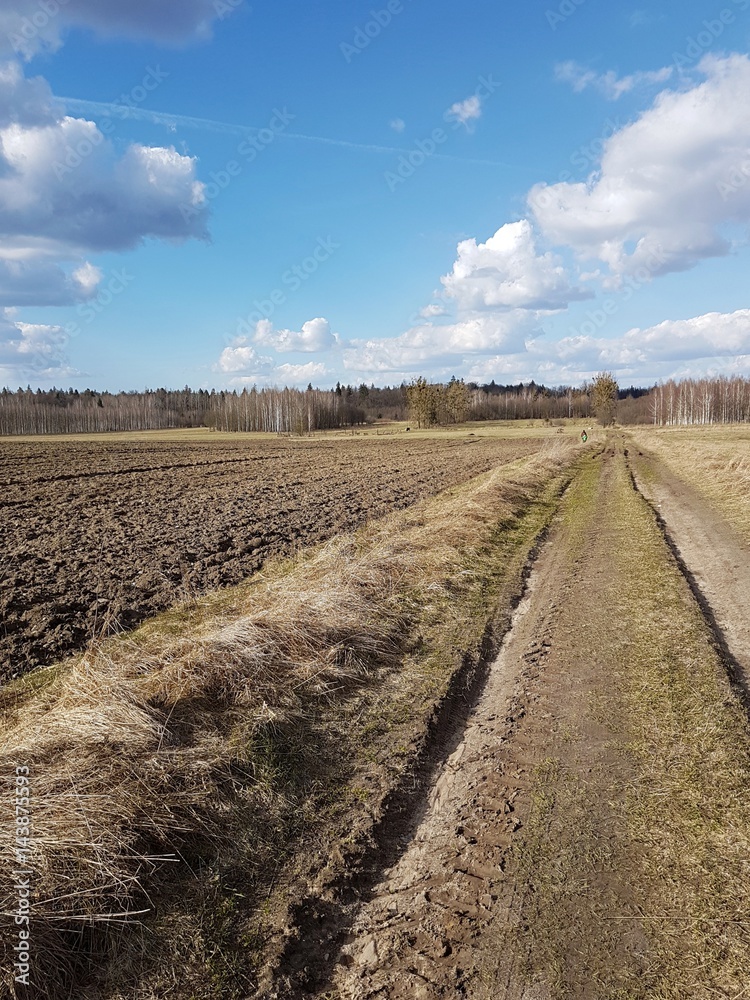 Fototapeta premium Droga polna