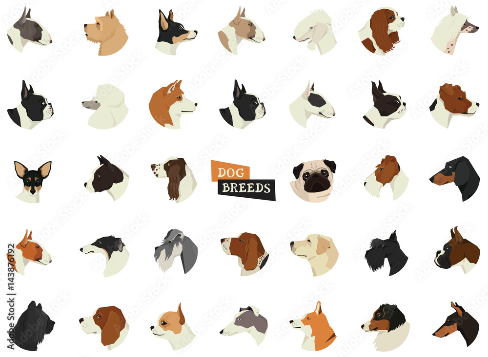 Fototapeta premium Dog breeds Avatars Isolated icons