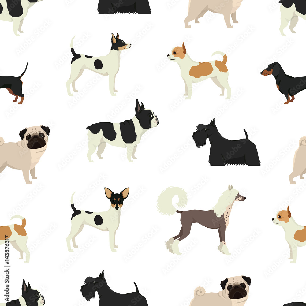 Dog collection Seamless pattern