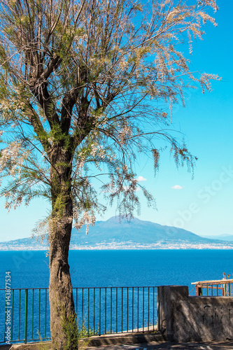 Mount vesuvius and gulf of Naples seen from Sorrento