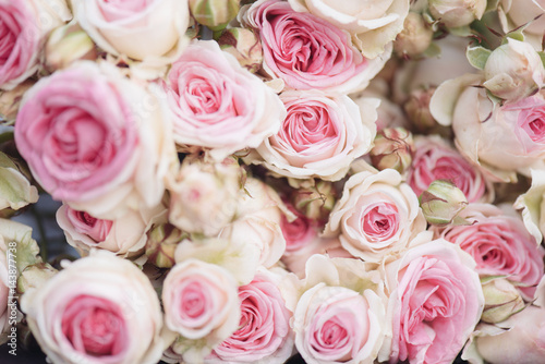 Pink roses pattern background © Laszlo
