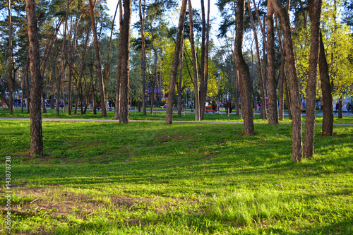 In the park in the spring