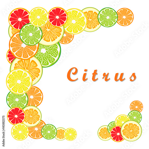 Abstract vector illustration logo for ripe citrus fruit orange,lemon,lime,grapefruit,pomelo,cut sliced.Citrus:peel fruits lemons,ripe limes,sweet grapefruits,fresh pomelos.Eat vitamin C citruses,joy.