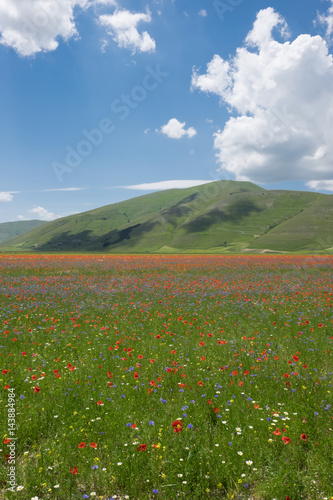 Castelluccio di Norcia in the Sibillini Park