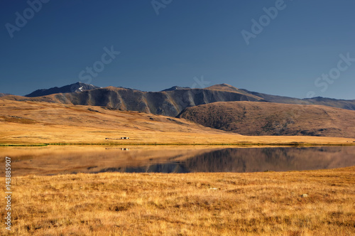 Colorful highland landscape steppe shore of a deep blue lake with dry yellow grass on the background of rocky mountains and glaciers under blue clear sky Plateau Ukok Altai Siberia Russia