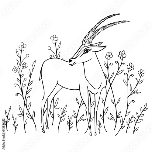 Decorative Gazelle graphic hand drawn vector cartoon doodle animal illustration, standing African safari antelope with curved horns isolated on white background among flowers, for design greeting card
