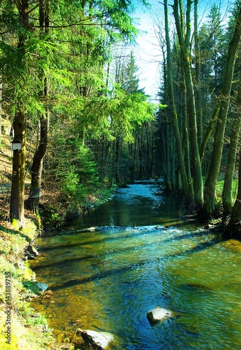 Valley of River Doubrava. Natural Park created by the canyon of Doubrava river is educational trail and also mountain-climbing target. Bilek  Vysocina Region  Czech republic