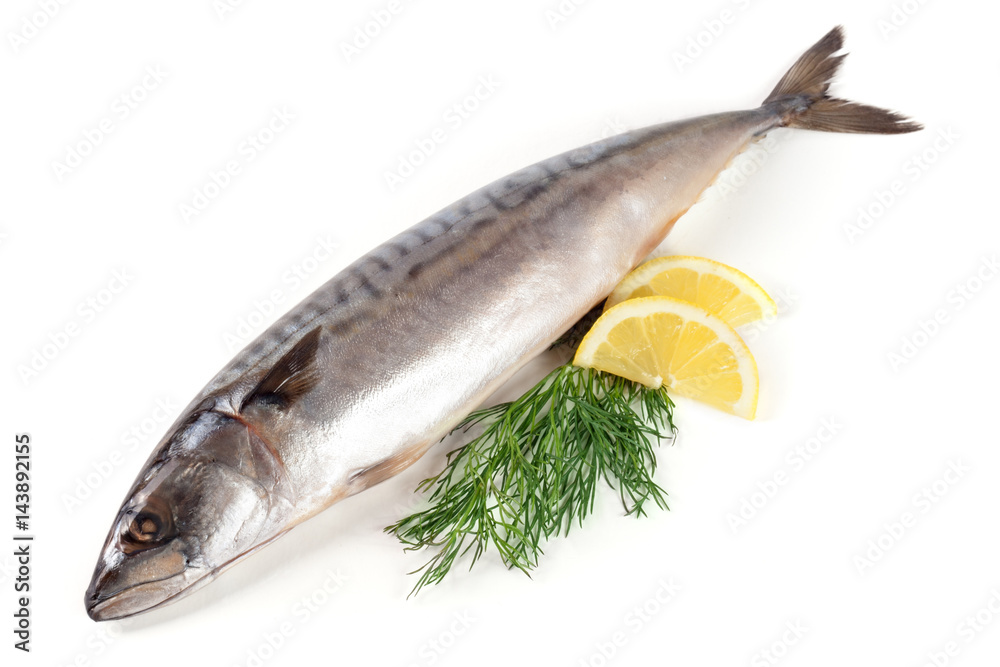 One fresh mackerel isolated on white background One fresh mackerel isolated on white background