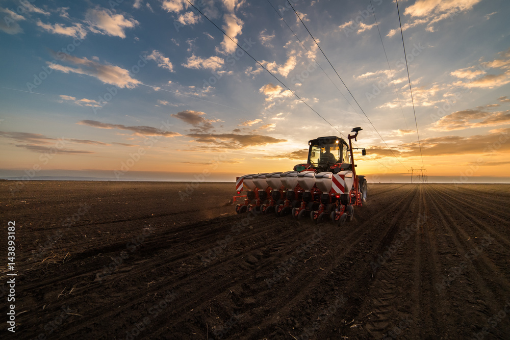 Naklejka premium Farmer with tractor seeding - sowing crops at agricultural field in spring