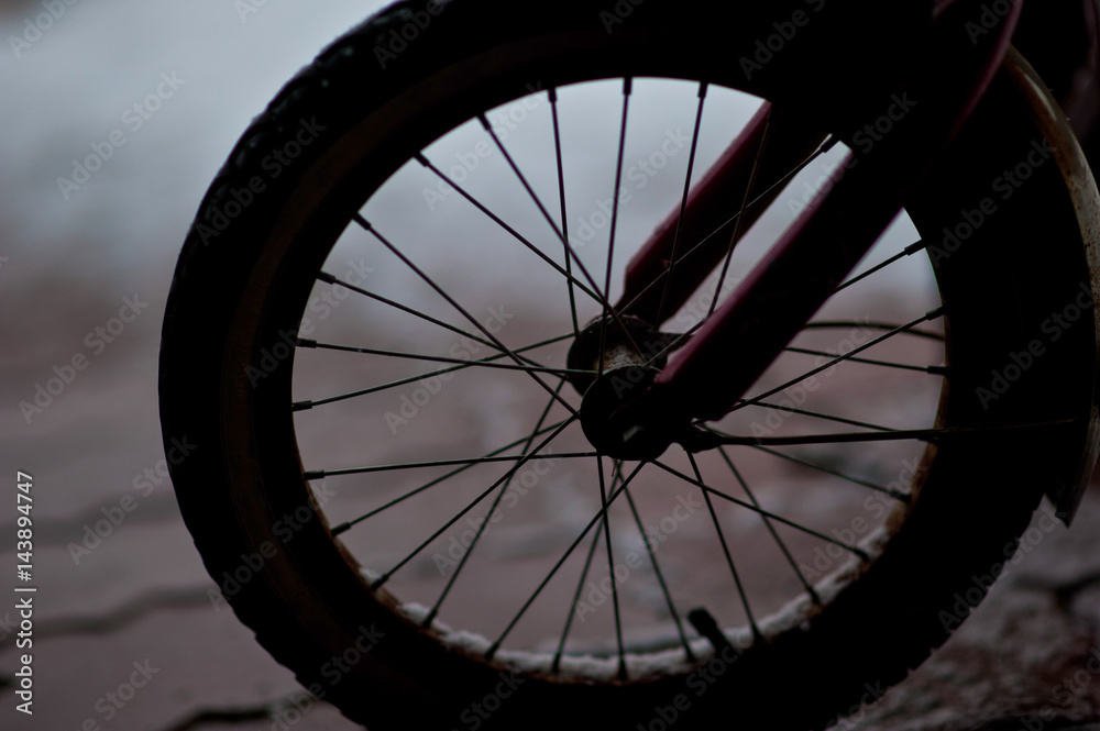 Naklejka premium Bicycle wheel