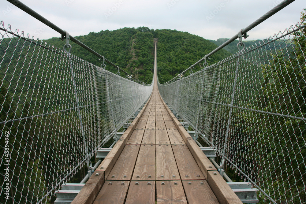 Geierlay suspension bridge from north to south Geierlay suspension bridge from north to south