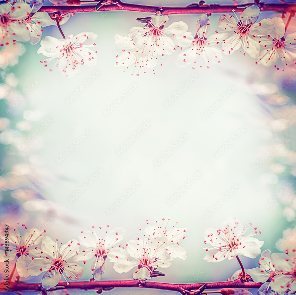 Fototapeta Springtime floral frame with pretty cherry or sakura blossom, at bokeh background