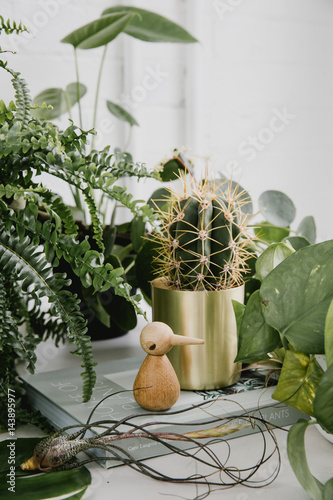 Interior vignette with greenery and book