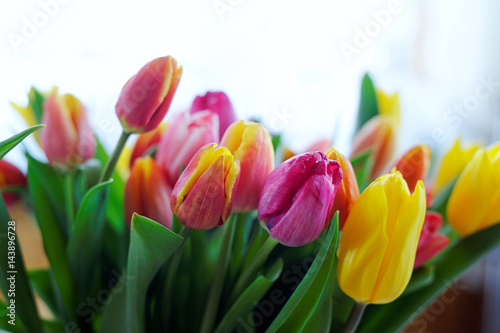 Fototapeta Naklejka Na Ścianę i Meble -  Tulip flowers bouquet