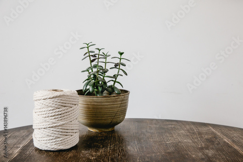 Yarn and plant on a wooden table