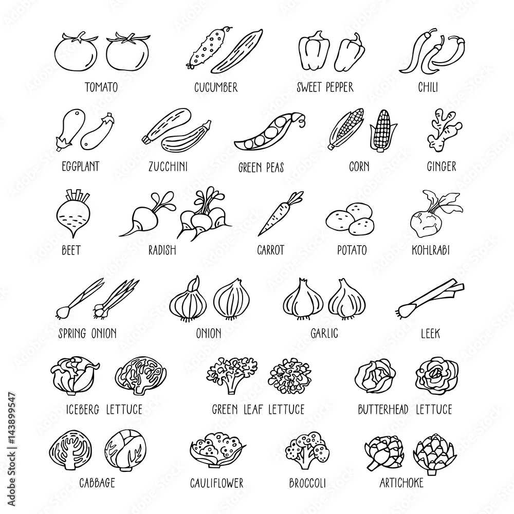 Vegetables hand drawn icon set in line style. Vegetables hand drawn icon set in line style.