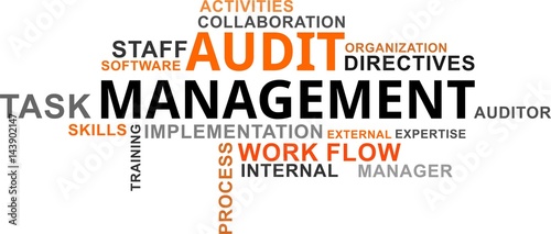word cloud - audit management
