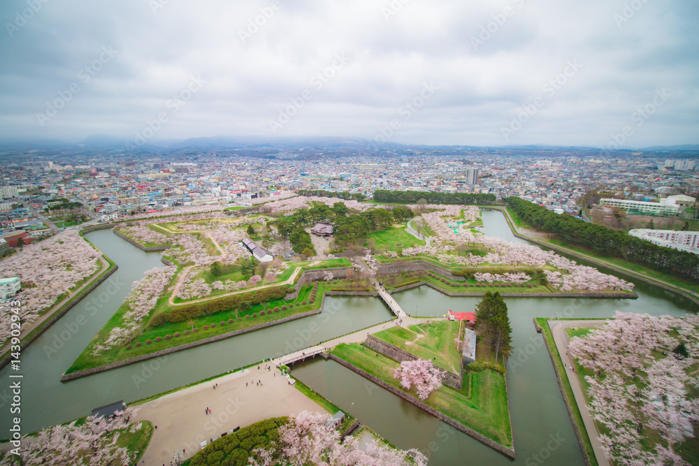 Goryokaku Fort from a viewpoint, Goryokaku Tower, with many beautiful cherry blossoms in spring of Japan
