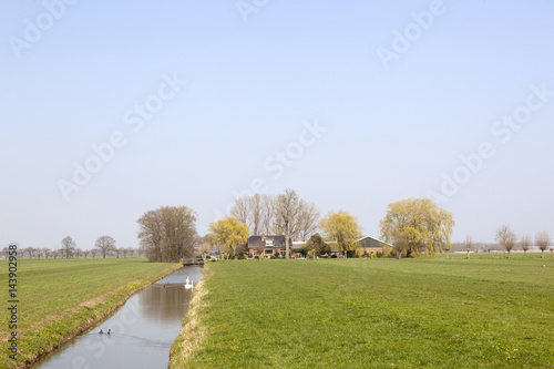 farm in meadows near utrecht in the green heart of holland on sunny day in early spring photo