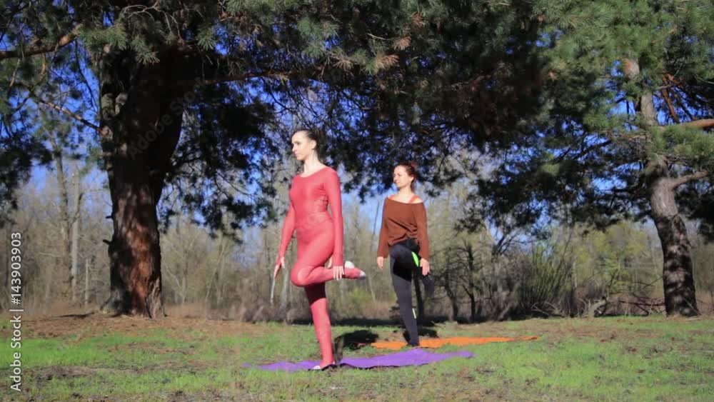 Pair of women exercising yoga fitness sports in forest park. Healthy lifestyle concept. Pair of women exercising yoga fitness sports in forest park. Healthy lifestyle concept.