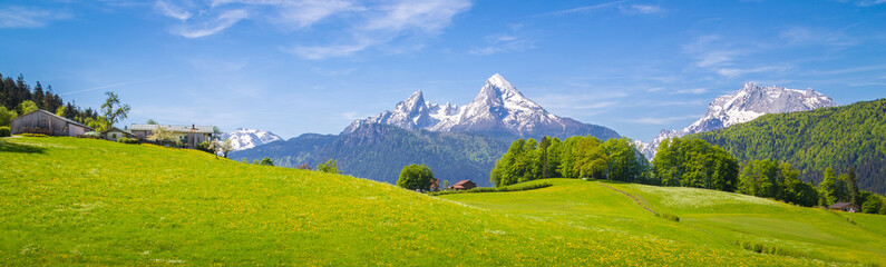 Idyllic landscape in the Alps with blooming meadows and farmhouse in summer