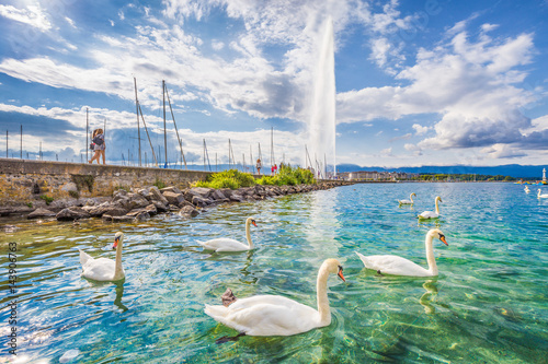 Obraz na płótnie Swans on Lake Geneva with famous Jet d'Eau water fountain in the background in summer, Geneva, Switzerland w salonie
