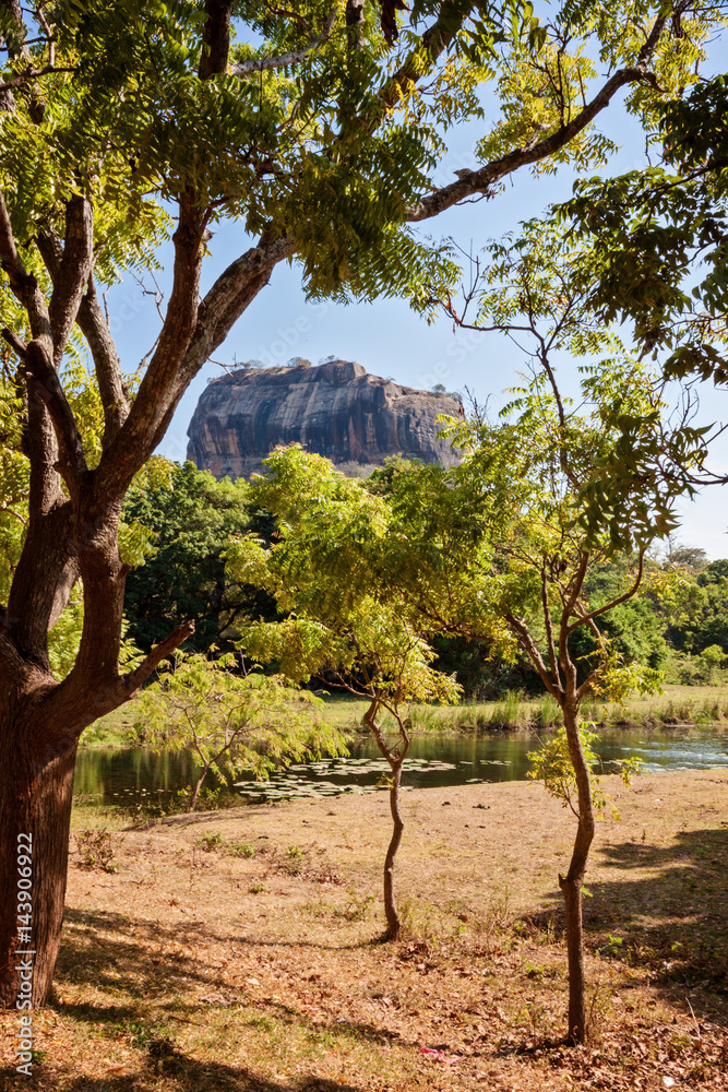 Fototapeta premium Sigiriya Lion Rock in Sri lanka