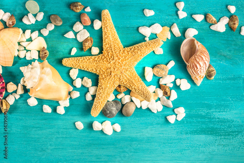 Starfish, shells, and pebbles on vibrant turquoise background