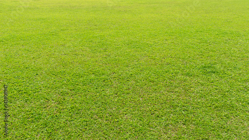 Green nature grass field ball in sport stadium