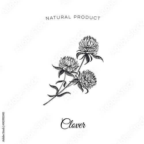 Vector hand drawn honey Illustration.