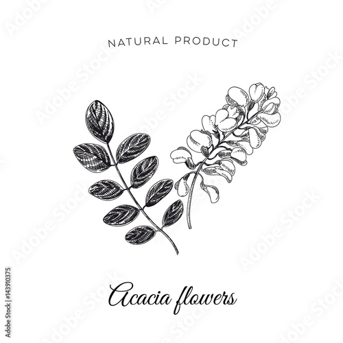 Schilderij op canvas Vector hand drawn honey Illustration.
