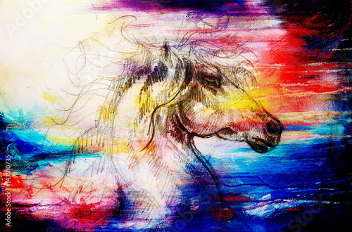 Naklejka Drawing horse on old paper, original hand draw. Color effect.